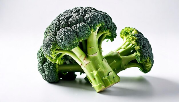 raw broccoli on white background