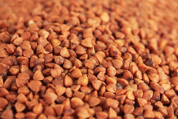 Raw buckwheat, close-up