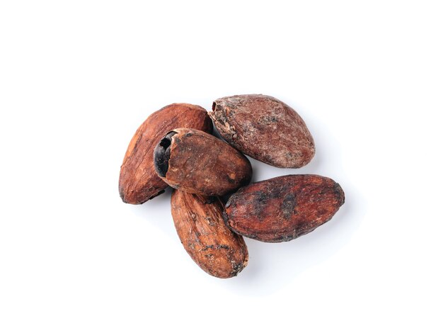 사진 raw cacao beans isolated white