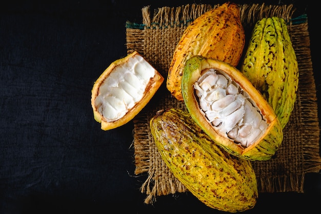 Raw cacao and cocoa pods