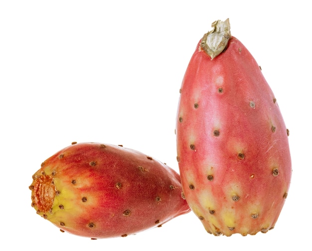 Raw cactus fruit on a white wall