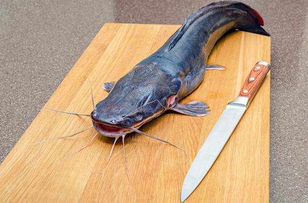 Raw catfish on a cutting board, cooking fish.