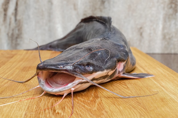 Foto pesce gatto crudo su un tagliere, cucinando il pesce.