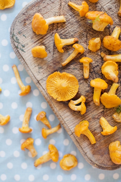 Raw chanterelle mushrooms on wooden background. Food background with yellow mushrooms