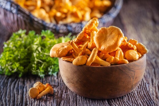 Raw chanterelles mushroom in wooden bowl with parsley herbs