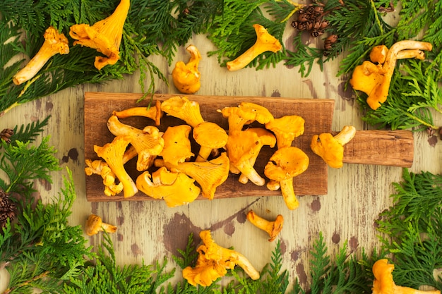 Photo raw chanterelles over wooden background