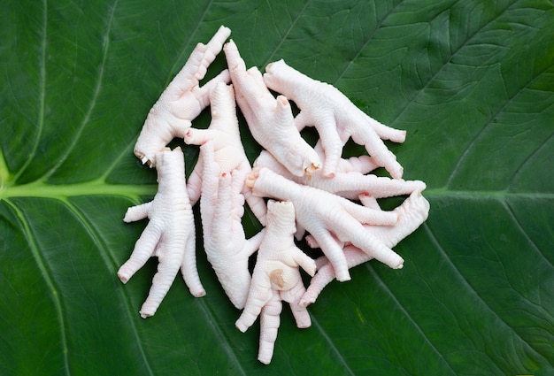 Raw chicken feet on taro leaf