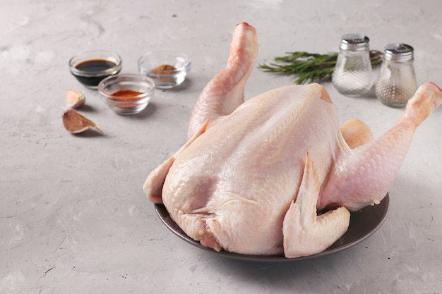 Raw Chicken and spices: paprika, pepper, soy sauce, garlic and rosemary on a gray concrete background, Closeup, Space for text