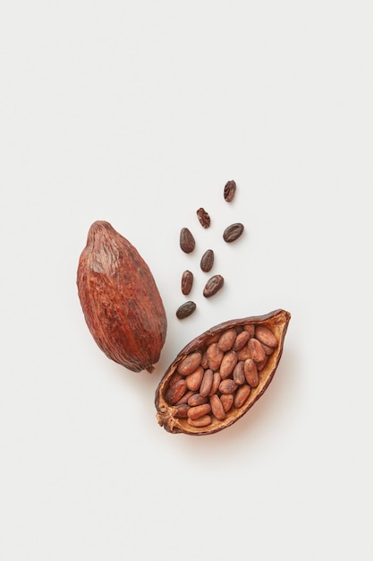 Raw cocoa beans in pod