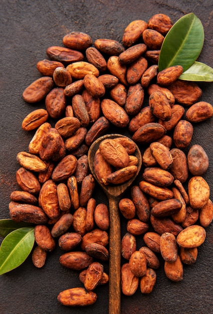 Raw cocoa beans 