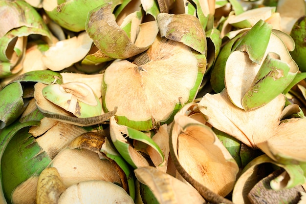 Raw coconut shell