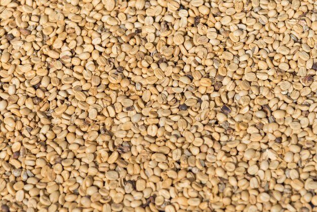raw coffee bean background texture