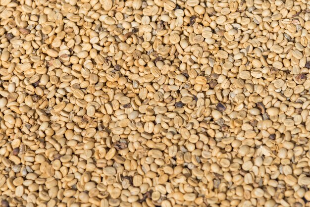 Raw Coffee bean background texture