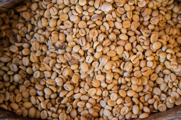 Foto chicchi di caffè crudi non tostati