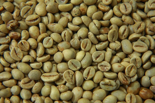 Photo raw coffee beans