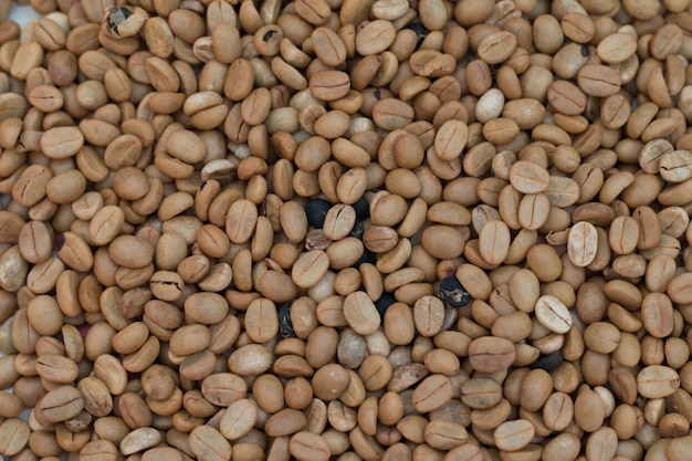 生コーヒー穀物の背景