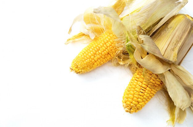 Photo raw corn with leafs on white