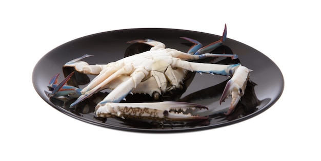 raw crab on a black plate isolated on white background.