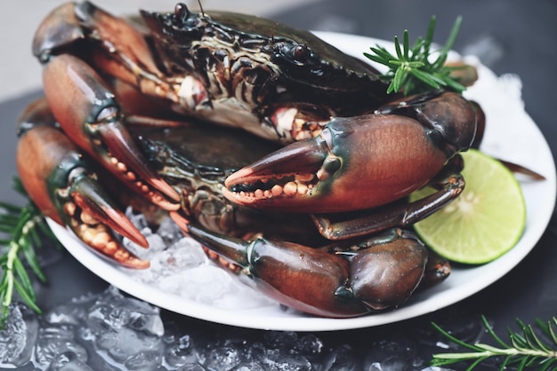 Premium Photo | Raw crab on white plate background fresh mud crab with ice  for cooking food in the seafood restaurant