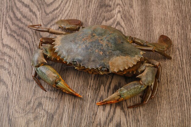 Raw crab