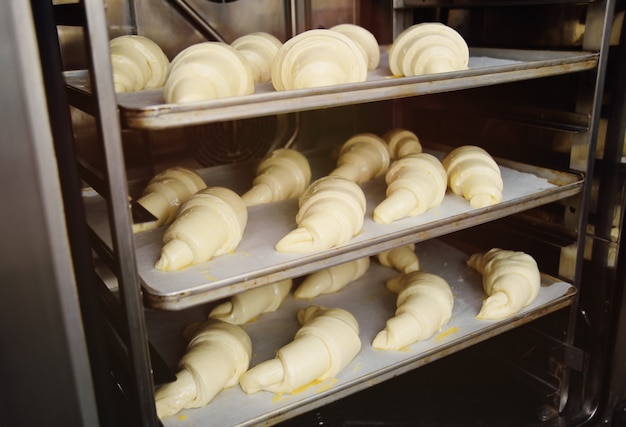 Raw croissants prepared for close-up baking in the oven