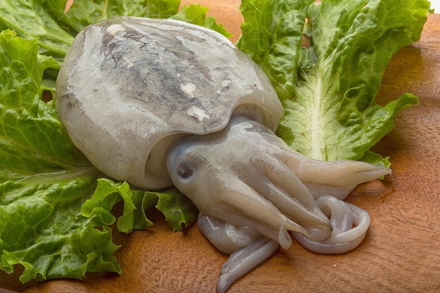 Raw cuttlefish