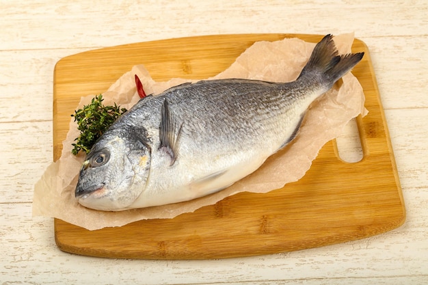 Raw dorada fish