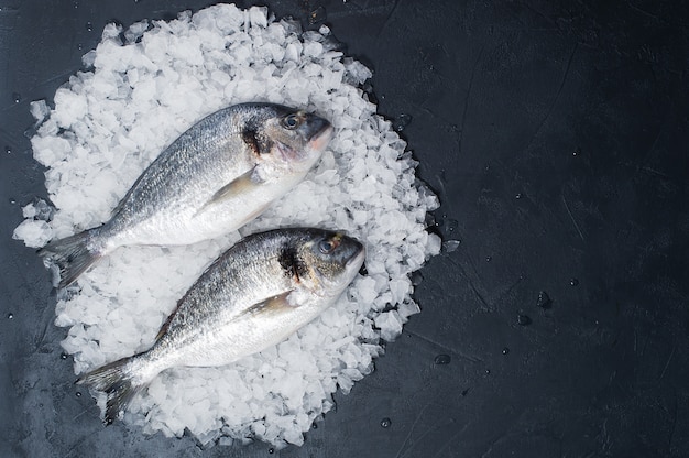 Il pesce crudo di dorado sul ghiaccio.