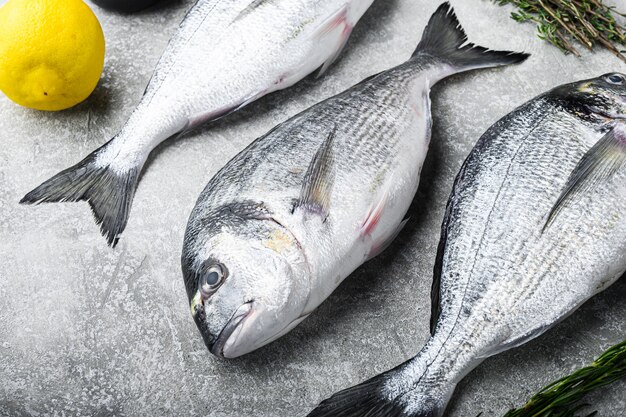 Raw dorado or seabream fish with herbs for grill over textured grey background  side view selective focus.