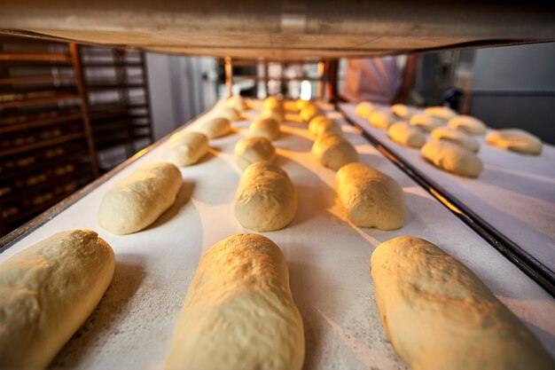 Raw dough bread on a oven-tray before baking in an oven at the manufacturing