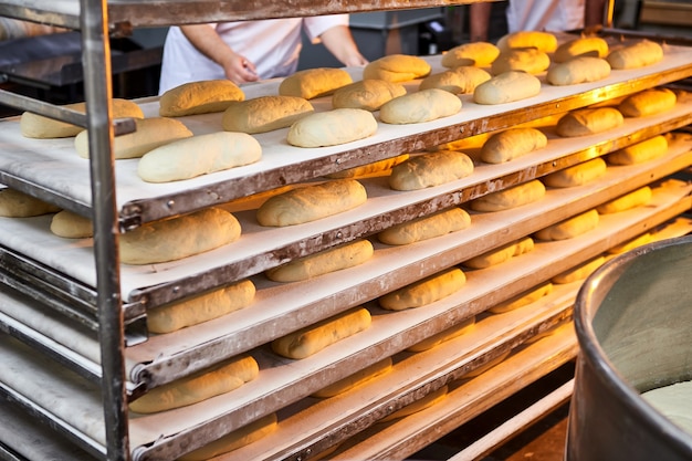 Raw dough bread on a oven-tray before baking in an oven at the manufacturing