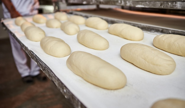 Pane a pasta cruda su una teglia da forno prima della cottura in forno presso la produzione