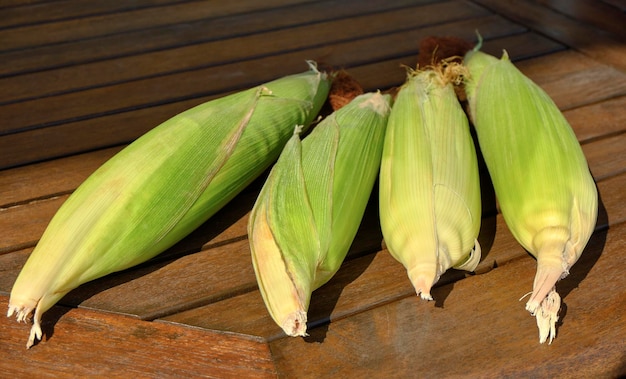 raw ears of corn on a wooden table