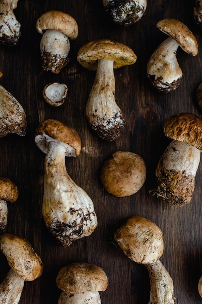 Raw edible porcini mushrooms on rustic dark wooden surface