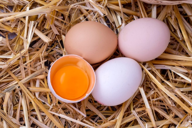 Raw eggs in dry straw. Food concept photo.