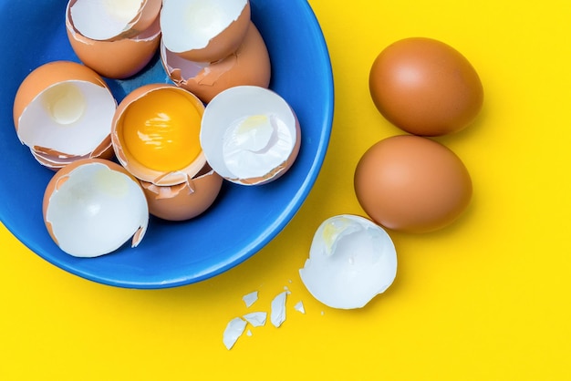 Raw eggs yolk and shell in a blue plate on a yellow background\
concept of cooking dinner for a large family festive omelet\
scrambled eggs or cake baking copy space