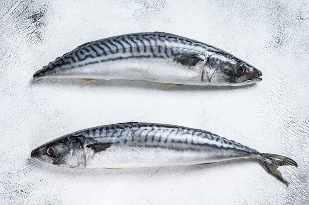 Raw fish Mackerel on a kitchen table.