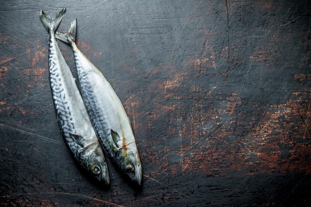 Raw fish mackerel