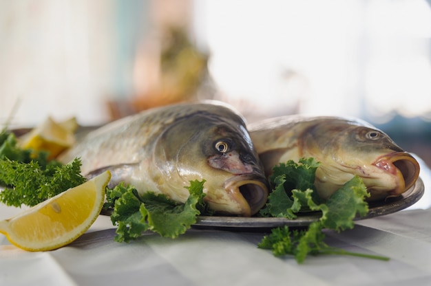 Raw fish on metallic dish with greens and lemon on white table.