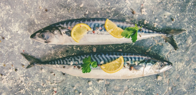 Фото Сырая рыба скумбрии. выборочный фокус. еда и напитки.