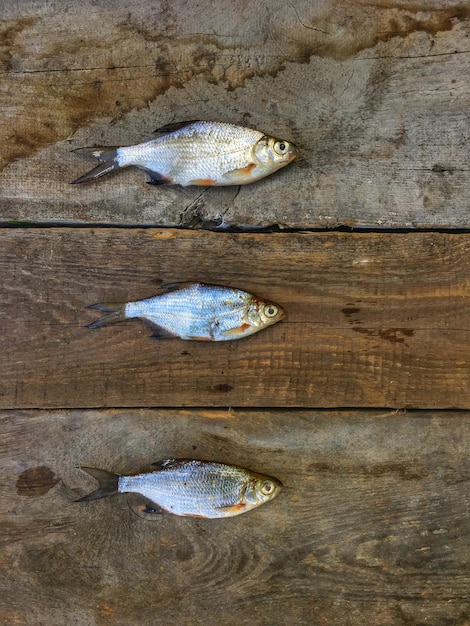 写真 木製の背景の生魚