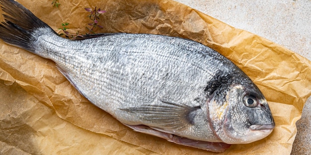 raw fish sea bream fresh seafood meal food snack on the table copy space food background rustic top