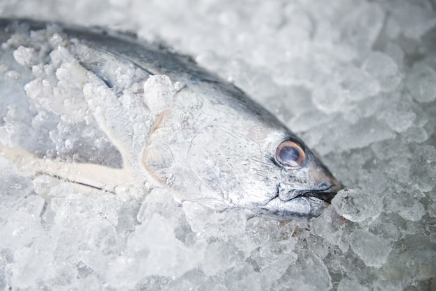 Frutti di mare del pesce crudo su ghiaccio