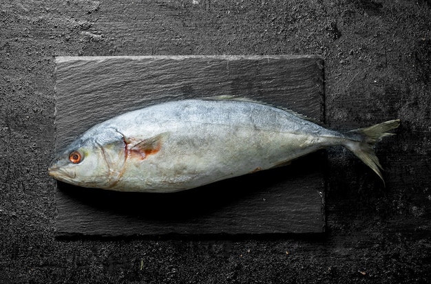 Raw fish on a stone Board