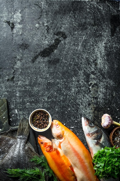 Raw fish with herbs and spices