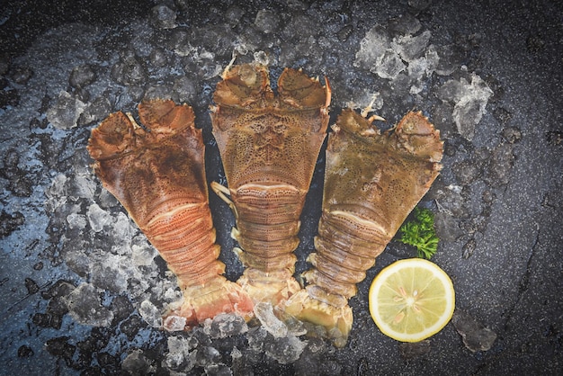 Raw flathead lobster shrimps on ice, fresh slipper lobster\
flathead for cooking on dark background in the seafood restaurant\
or seafood market, rock lobster moreton bay bug