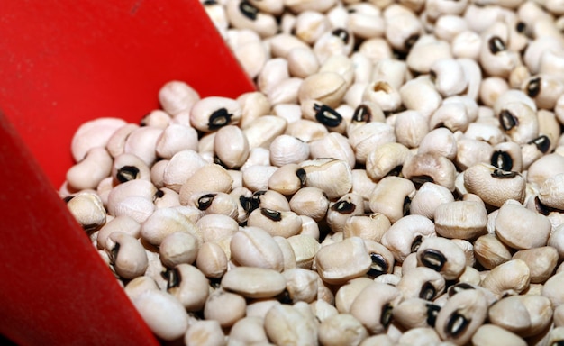 Foto chiuda in su del fagiolo del legume dell'alimento crudo