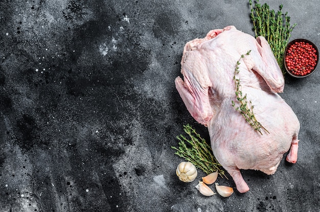 Raw free range duck with spices ready to cook