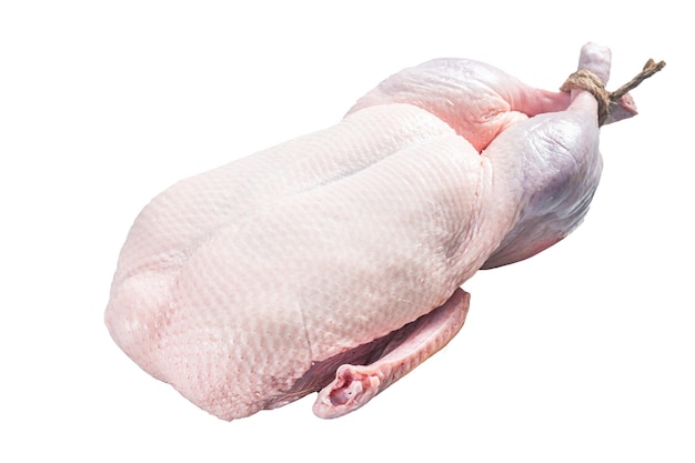 Raw free range whole duck Isolated on white background