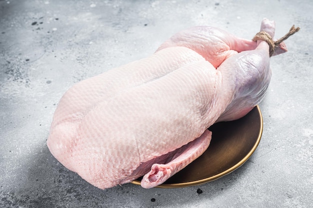 Raw free range whole duck White background Top view